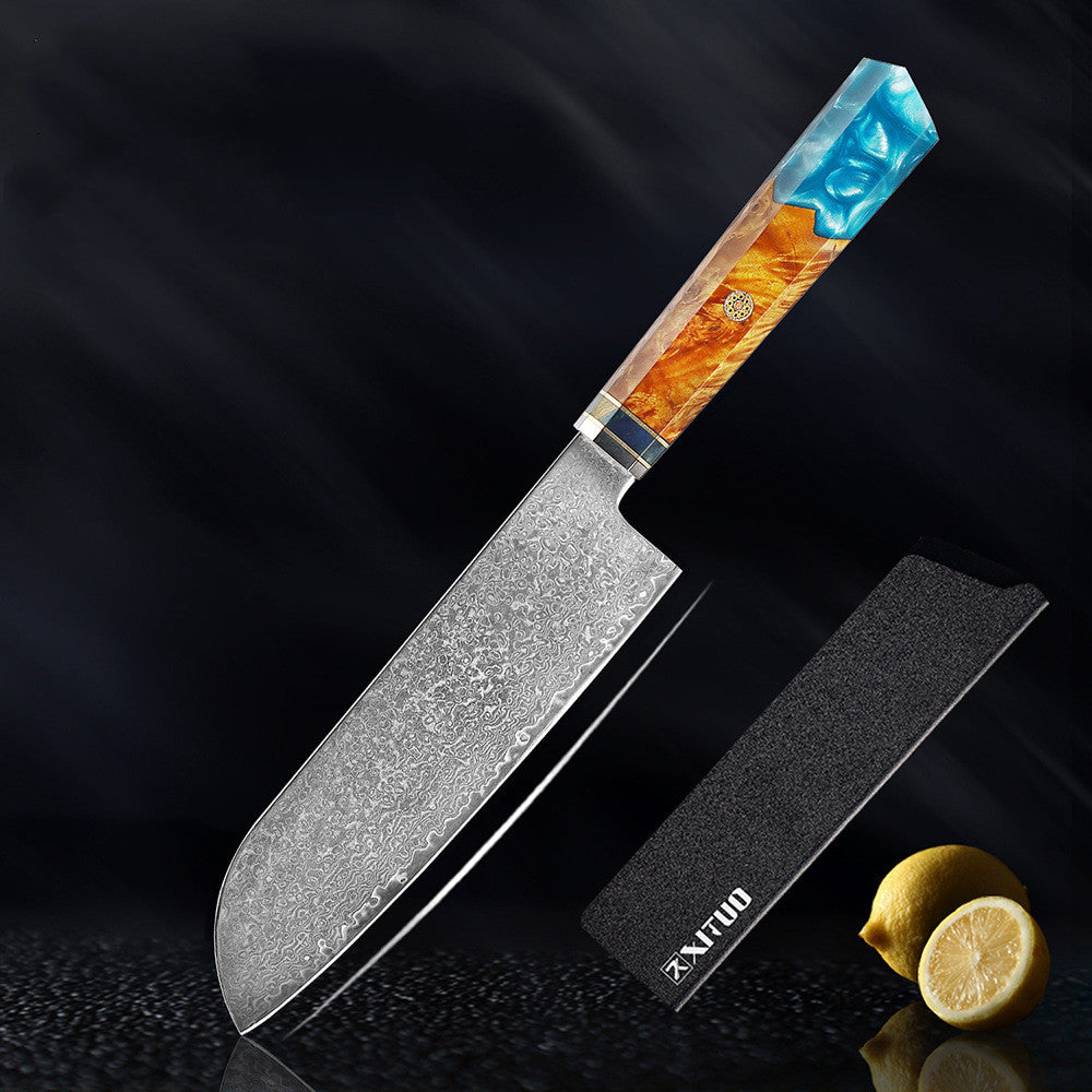 Damascus Steel Kitchen Knife