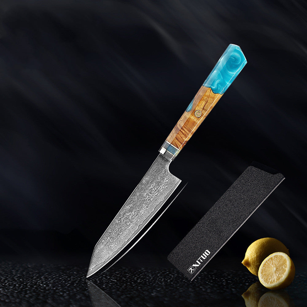 Damascus Steel Kitchen Knife