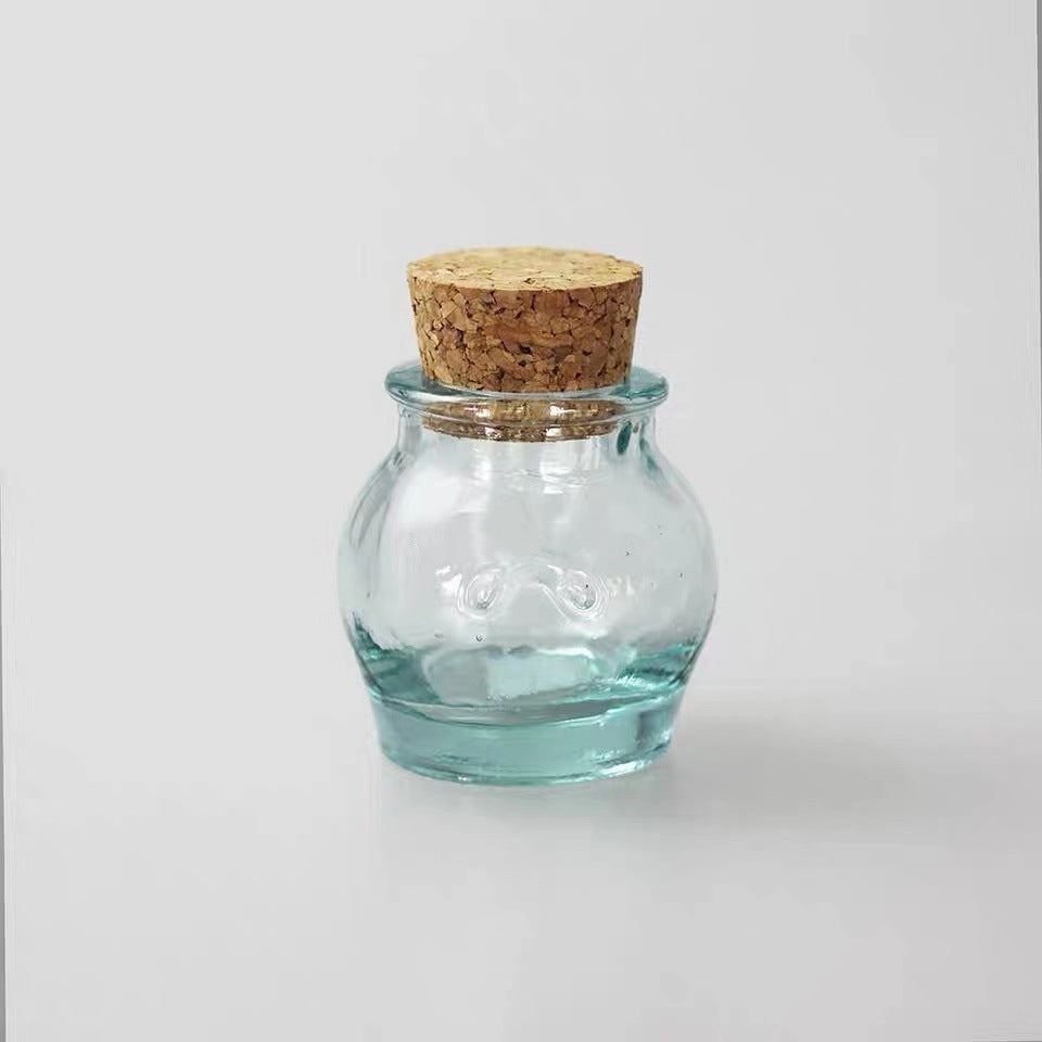 Handmade Glass Sealed Jar Cork Storage Jar