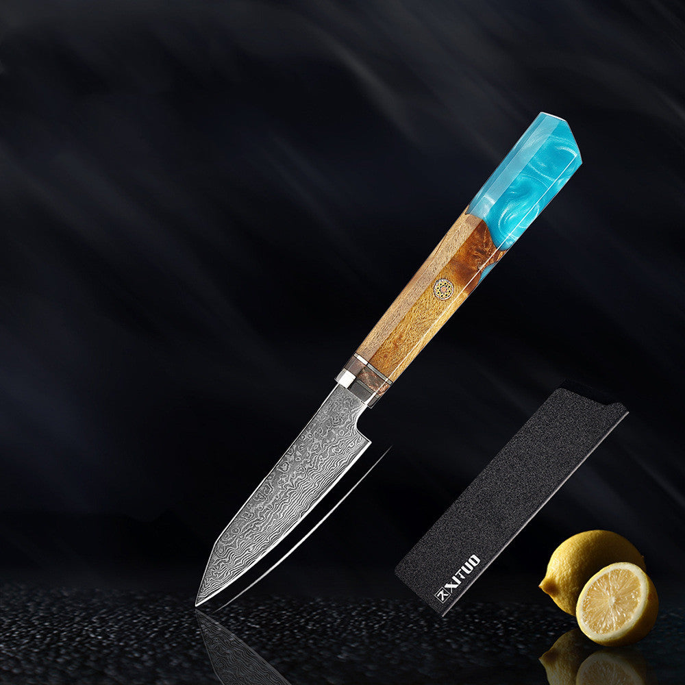 Damascus Steel Kitchen Knife